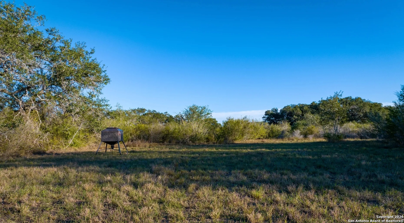 0 West Air Base Road Kenedy, TX 77963 - Photo 8 of 8