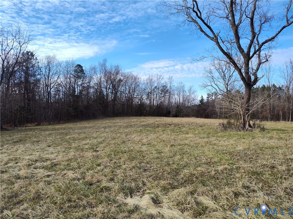 20825 Carson Road Dinwiddie, VA 23841 - Photo 31 of 50
