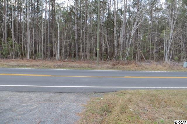 2054 County Rd S-22-45 Hemingway, SC 29554 - Photo 2 of 4