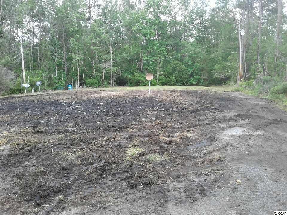 2054 County Rd S-22-45 Hemingway, SC 29554 - Photo 3 of 4