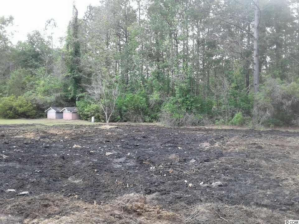 2054 County Rd S-22-45 Hemingway, SC 29554 - Photo 4 of 4