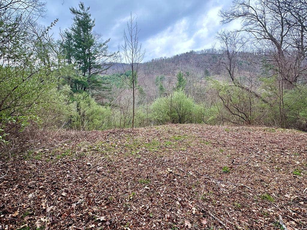 Tbd Spring Valley Road Elk Creek, VA 24326 - Photo 1 of 7 Gallery Image 1