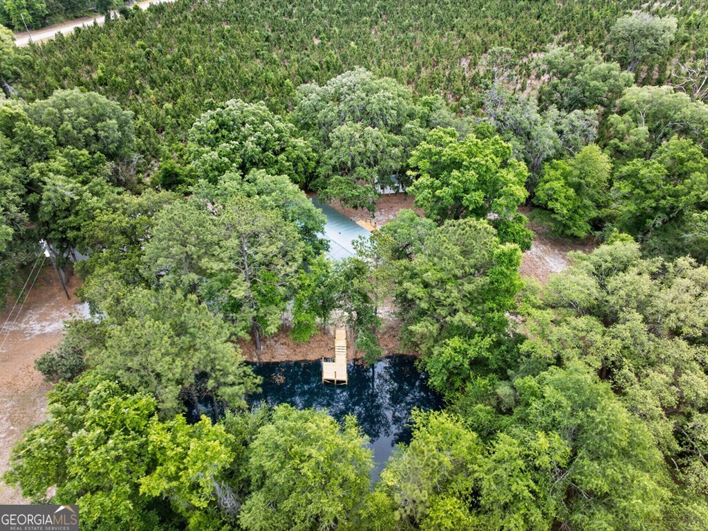 5781 Adams Road Valdosta, GA 31601 - Photo 8 of 27 an aerial view of a house with a yard