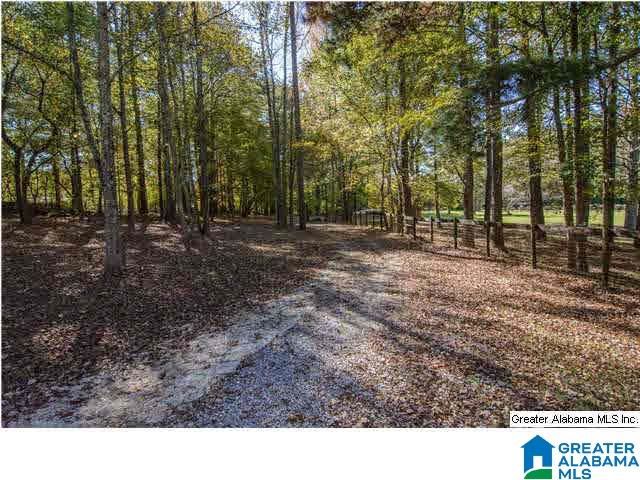 245 Chimney Rock Road Southwest Leeds, AL 35094 - Photo 26 of 32