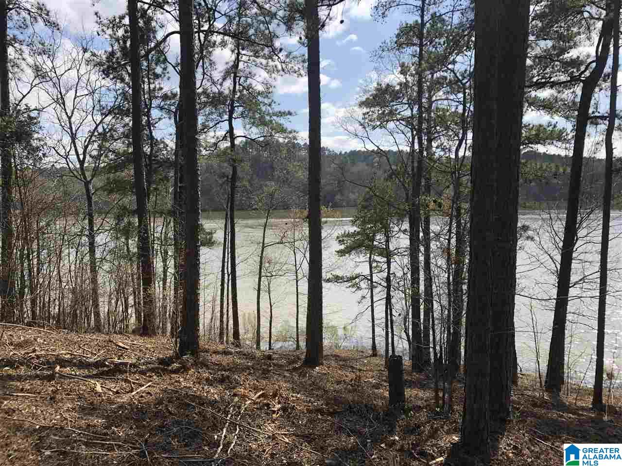 Stillwaters Trail Sylacauga, AL 35151 - Photo 18 of 30