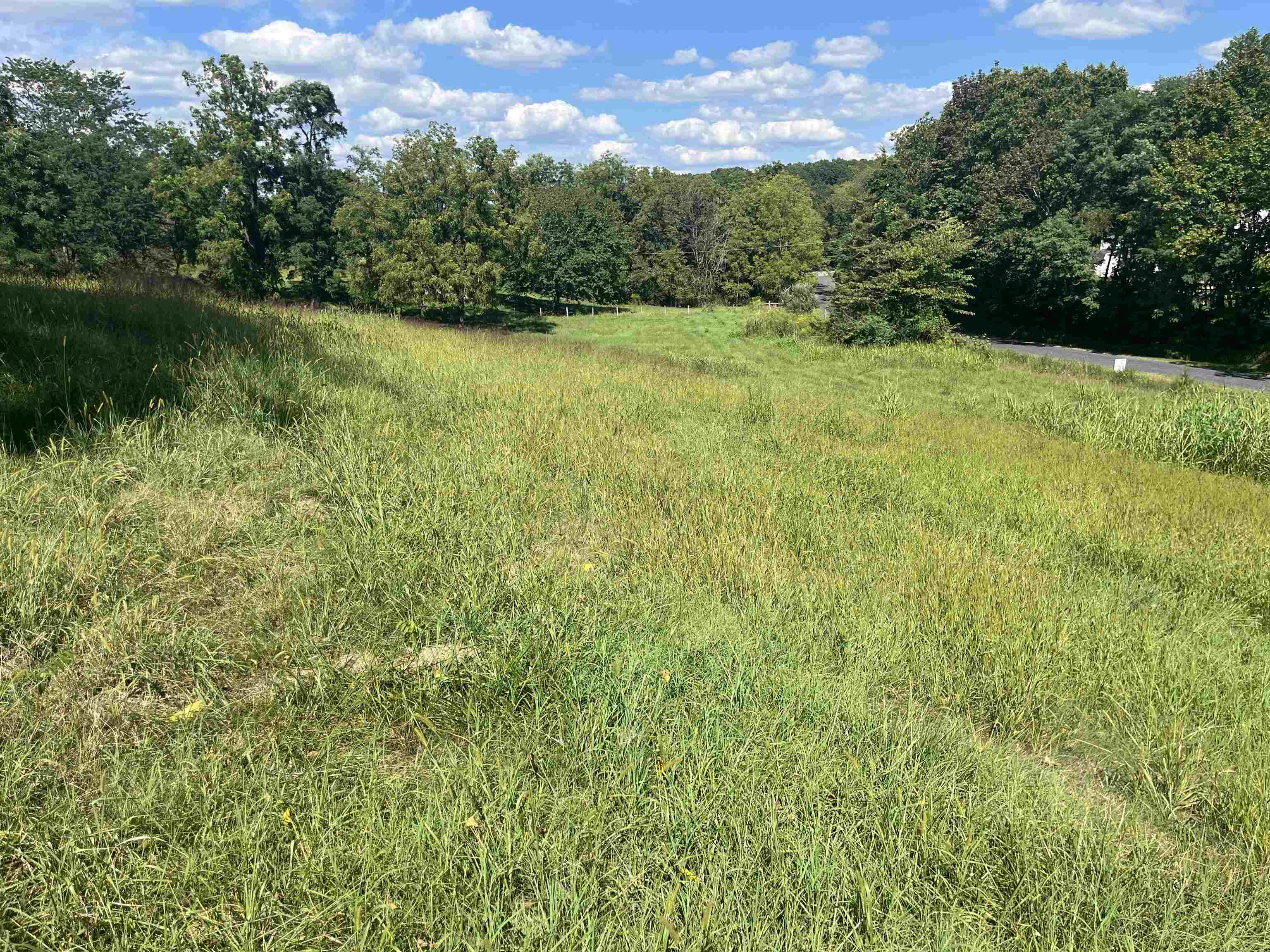 Tbd Stagecoach Road Staunton, VA 24401 - Photo 8 of 9 Gallery Image 8