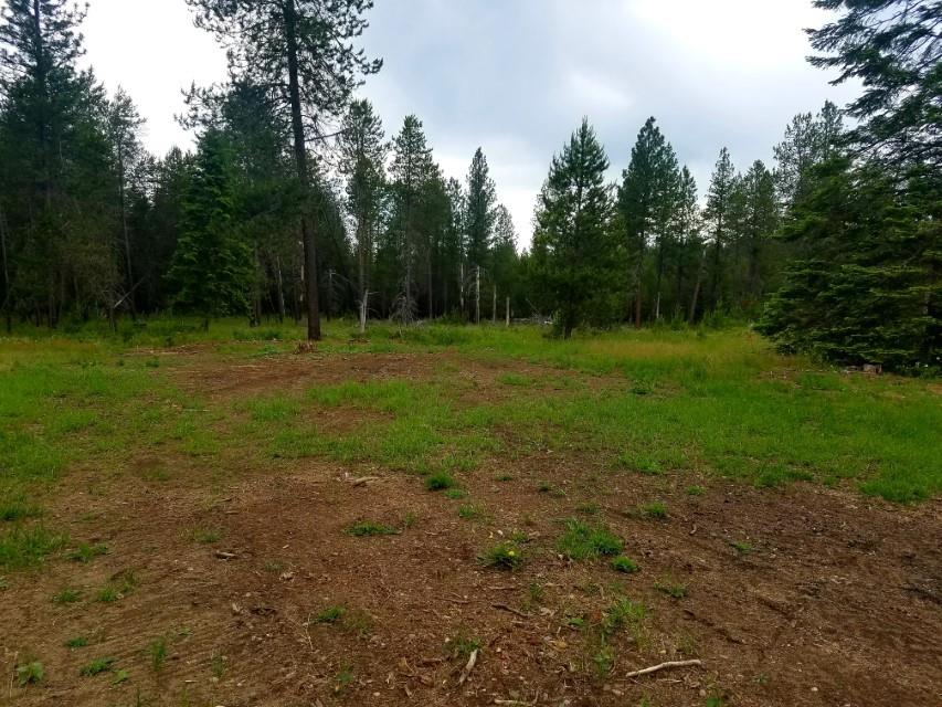 7815 East Hamilton Road Chattaroy, WA 99003 - Photo 20 of 20