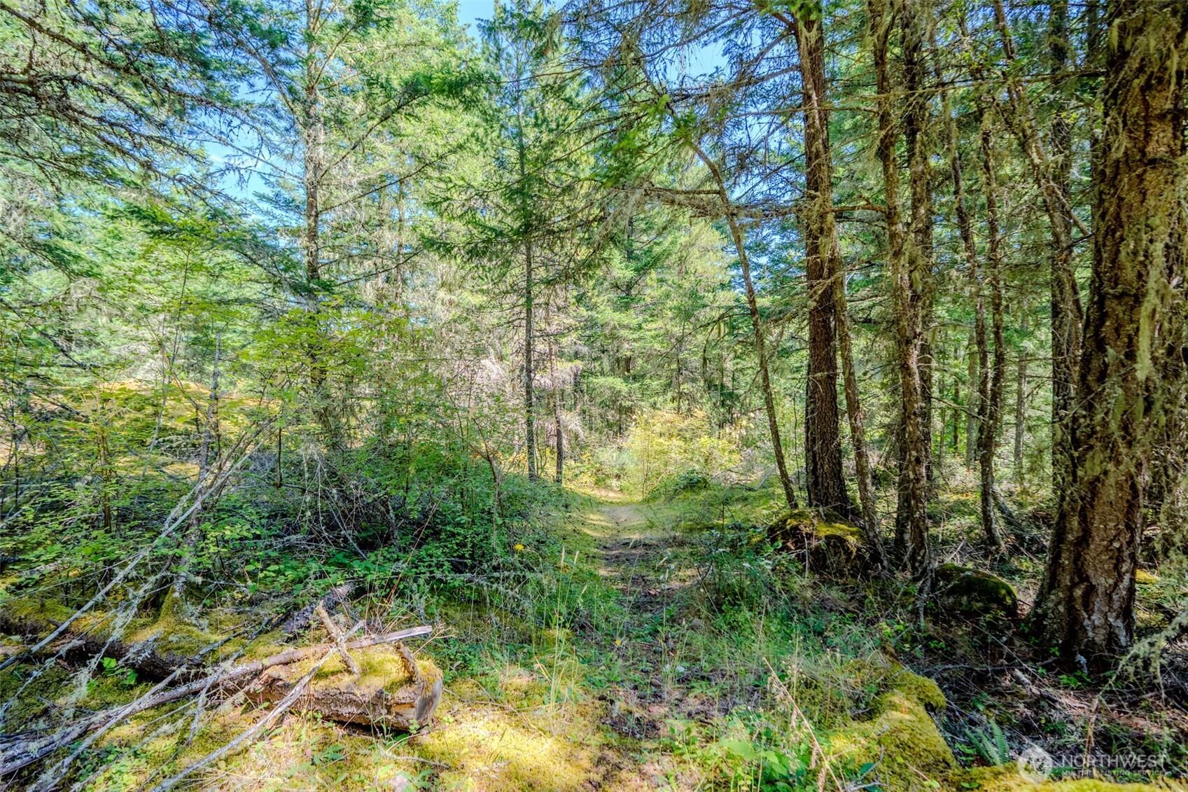 678 Swan Road Orcas Island, WA 98245 - Photo 36 of 39