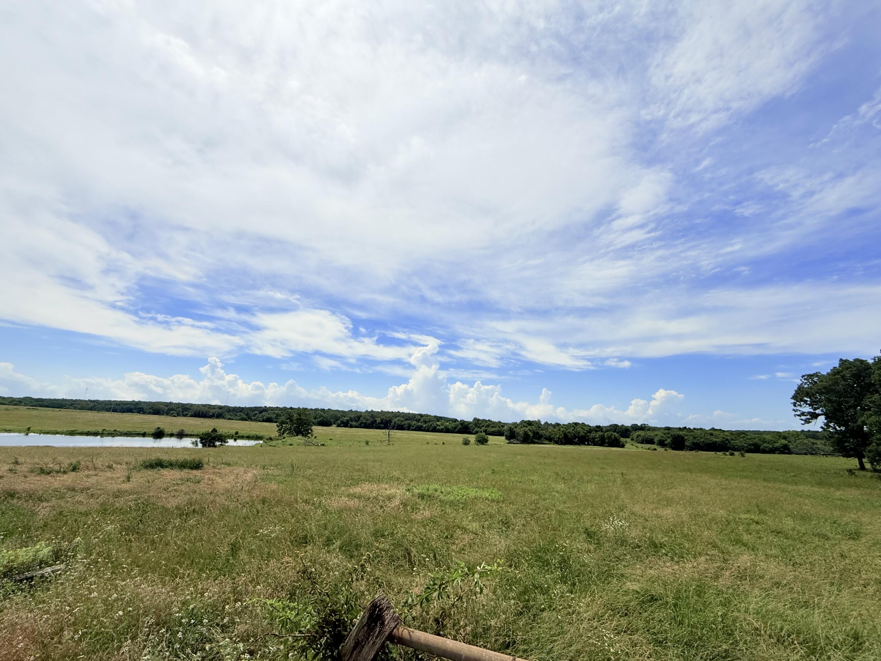 820 South Dallas County Line Road Conway, MO 65632 - Photo 41 of 43 IMG_4607