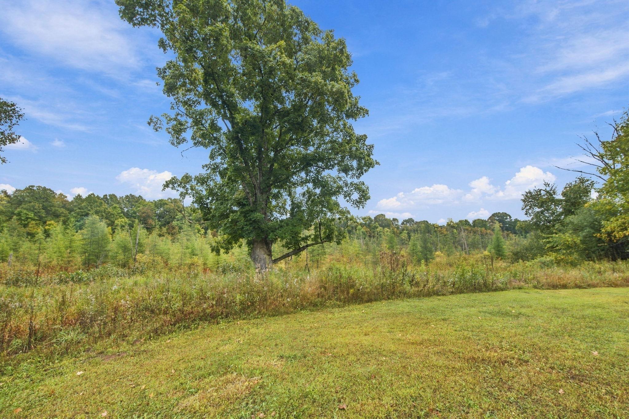 20091 County Line Road Frederic, WI 54837 - Photo 32 of 35 Gallery Image 32