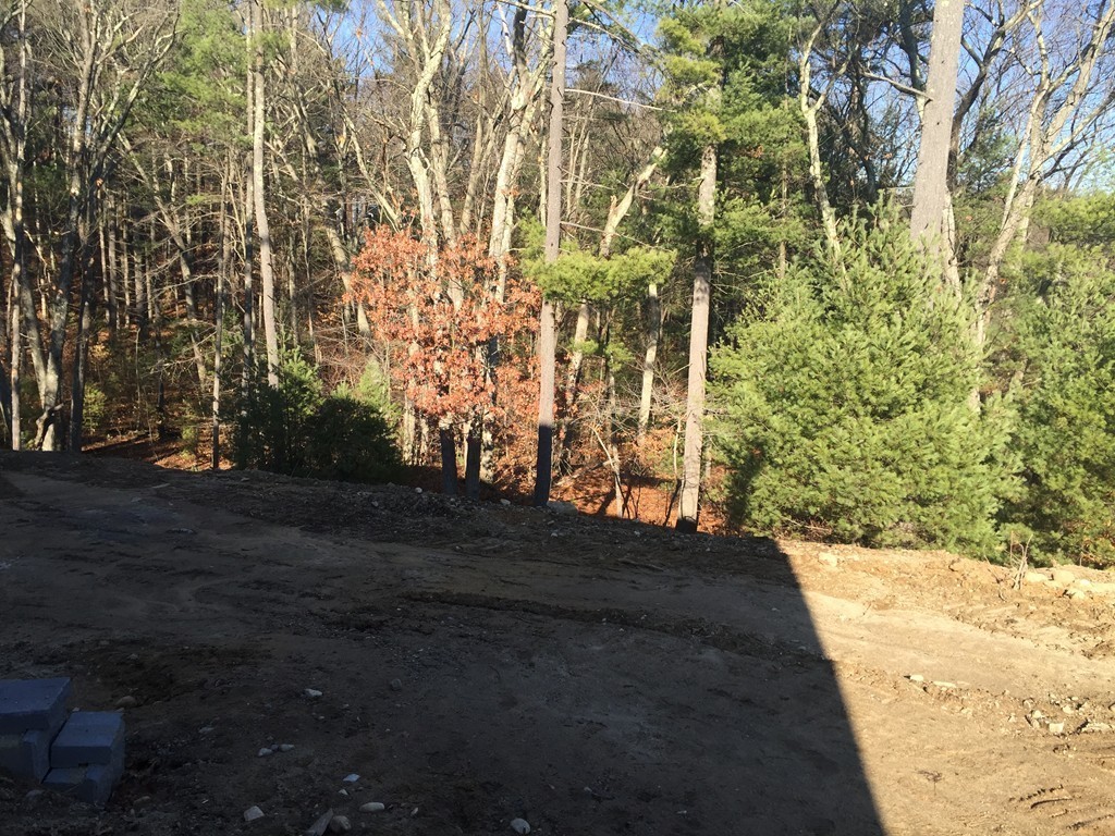 4 Silver Fox Road Norfolk, MA 02056 - Photo 7 of 10 Gallery Image 7
