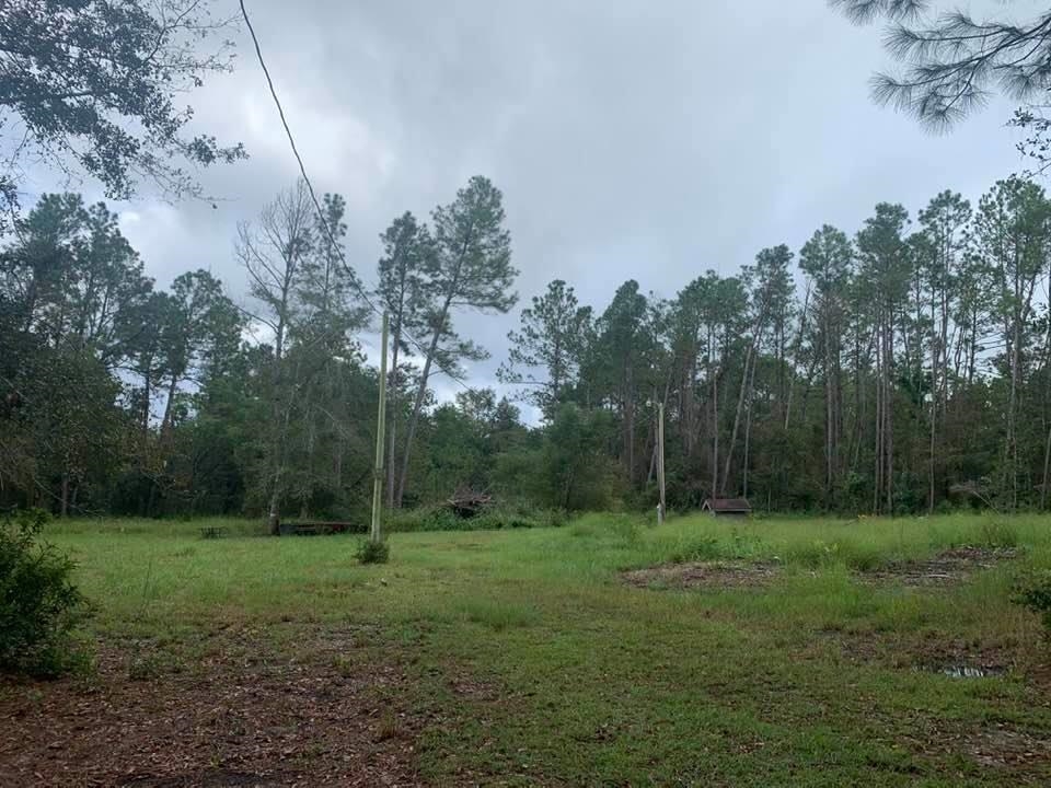 26348 Feely Road Elberta, AL 36530 - Photo 16 of 43