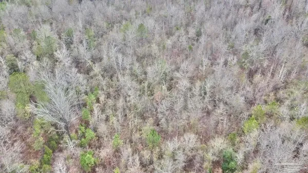 $60,000 | 21 Beatrice Al, Beatrice, AL 36425