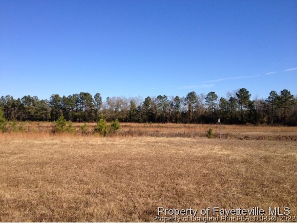 4258 South River School Road Wade, NC 28395 - Photo 3 of 8 Gallery Image 3