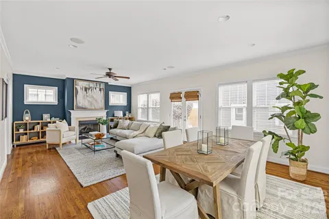 a living room with furniture kitchen view and a potted plant