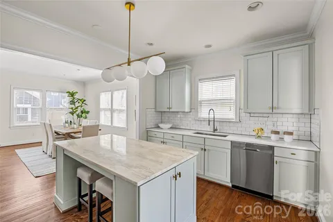 a kitchen with a sink a counter space appliances and cabinets