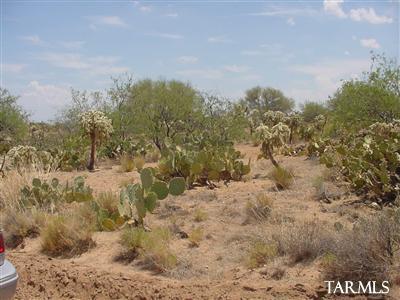 14991 South Garvey Road Tucson, AZ 85736 - Photo 3 of 10 Gallery Image 3