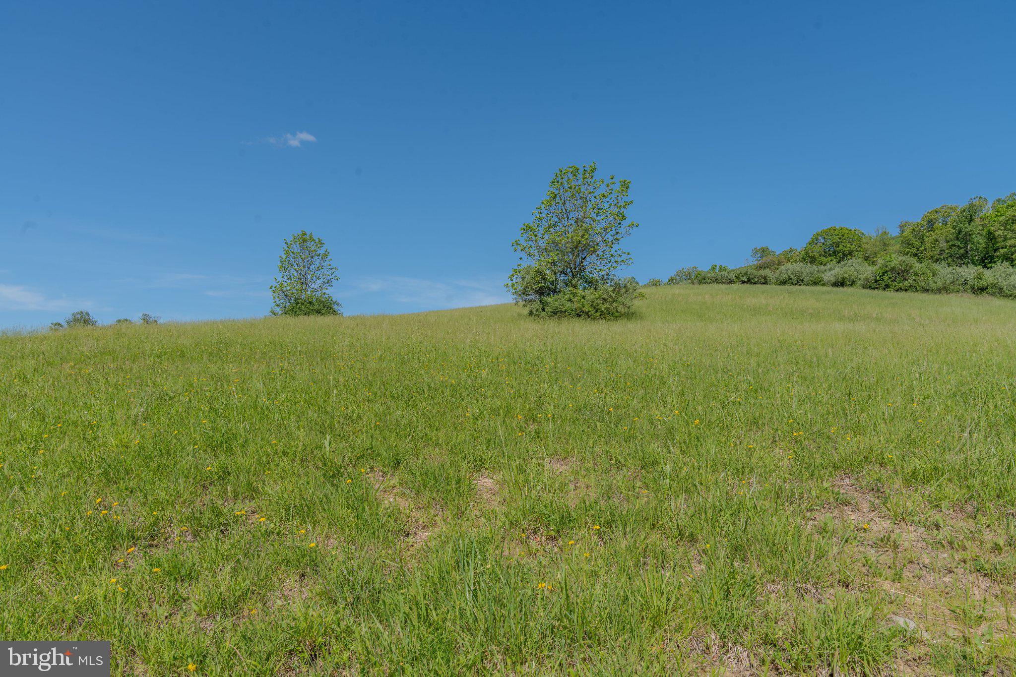 4503 Scotch Valley Road Hollidaysburg, PA 16648 - Photo 43 of 85 a view of a lake from a yard