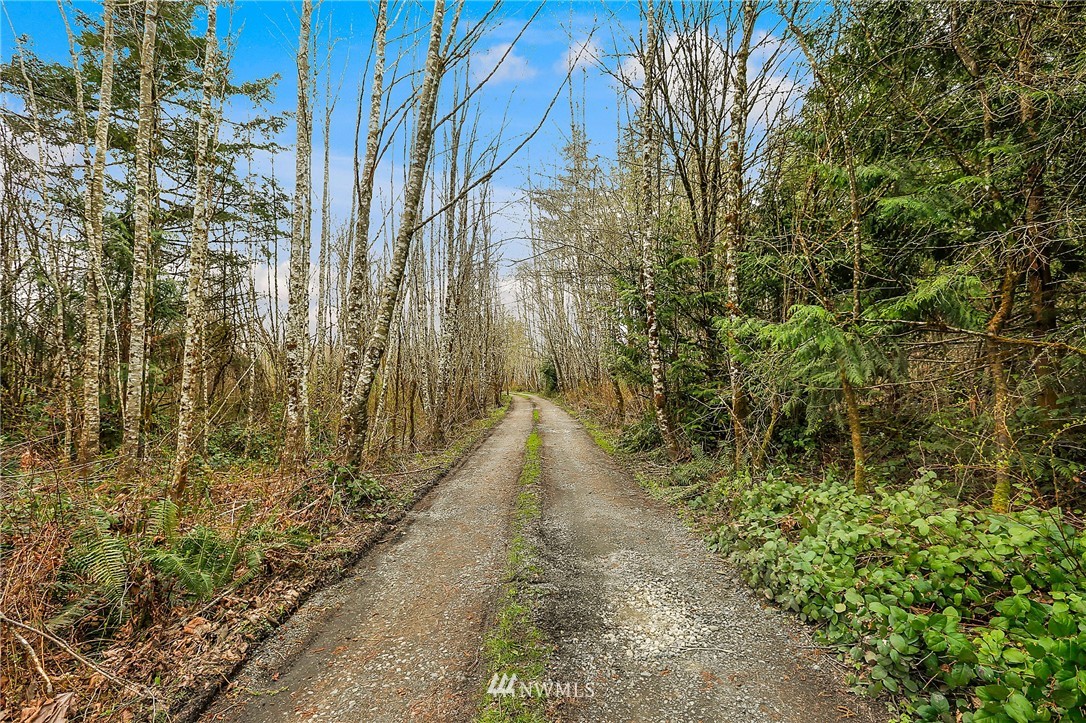 9825 Littlerock Road Southwest Olympia, WA 98512 - Photo 24 of 24 Gallery Image 24