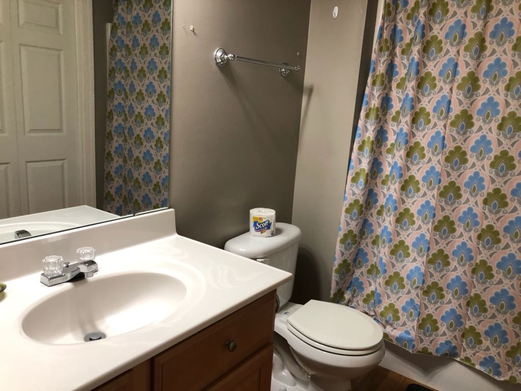 1692 Mt Torrey Road Lyndhurst, VA 22952 - Photo 5 of 14 a bathroom with a sink and mirror with toilet