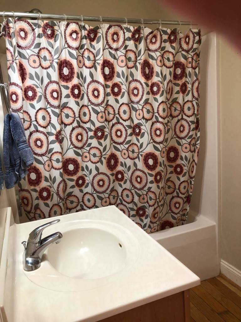 1692 Mt Torrey Road Lyndhurst, VA 22952 - Photo 6 of 14 a bathroom with a bathtub and a shower curtain