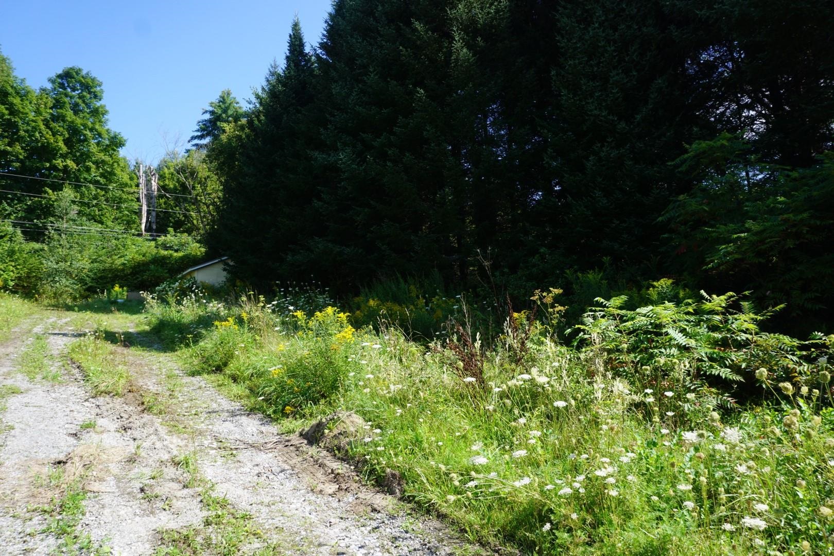 194 Sweet Road Cambridge, VT 05444 - Photo 21 of 28 Gallery Image 21