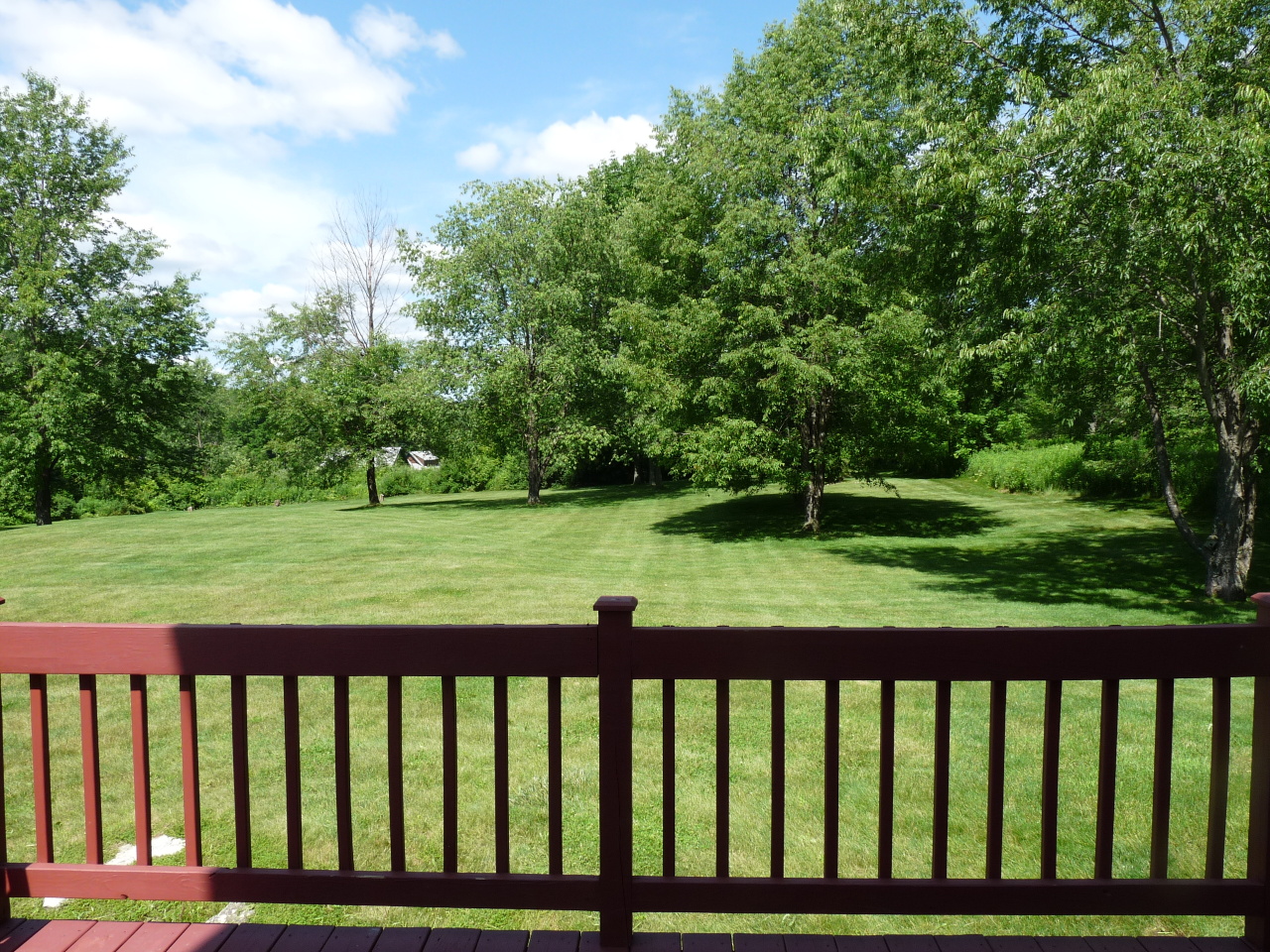 65 Golden Hill Road Lenox Dale, MA 01242 - Photo 8 of 19 back yard