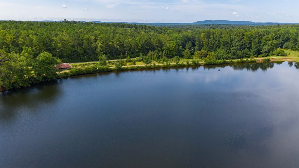 829 Trammell Mill Road Shiloh, GA 31826 - Photo 11 of 46 Deep Lake