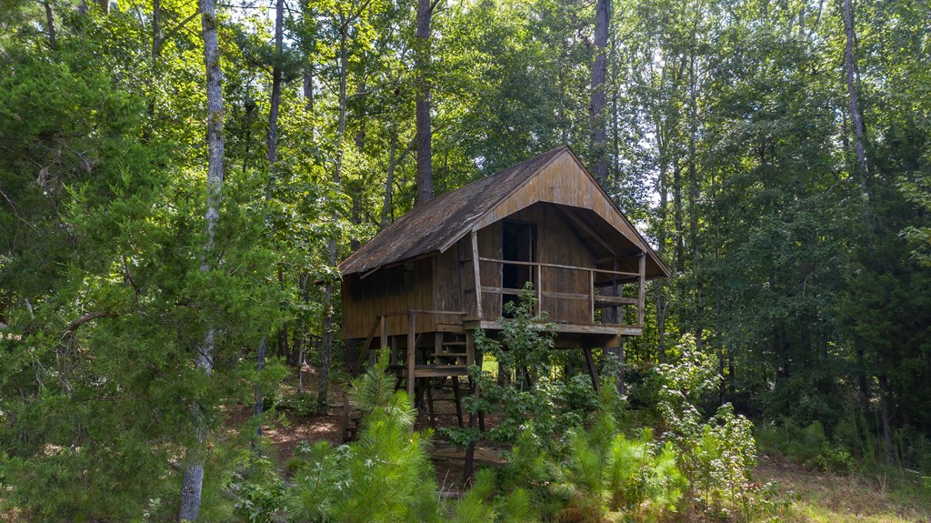 829 Trammell Mill Road Shiloh, GA 31826 - Photo 38 of 46 Tree House