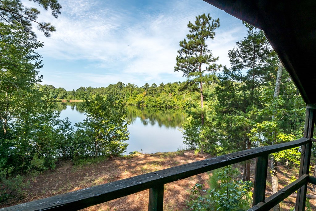 829 Trammell Mill Road Shiloh, GA 31826 - Photo 40 of 46 View from tree house