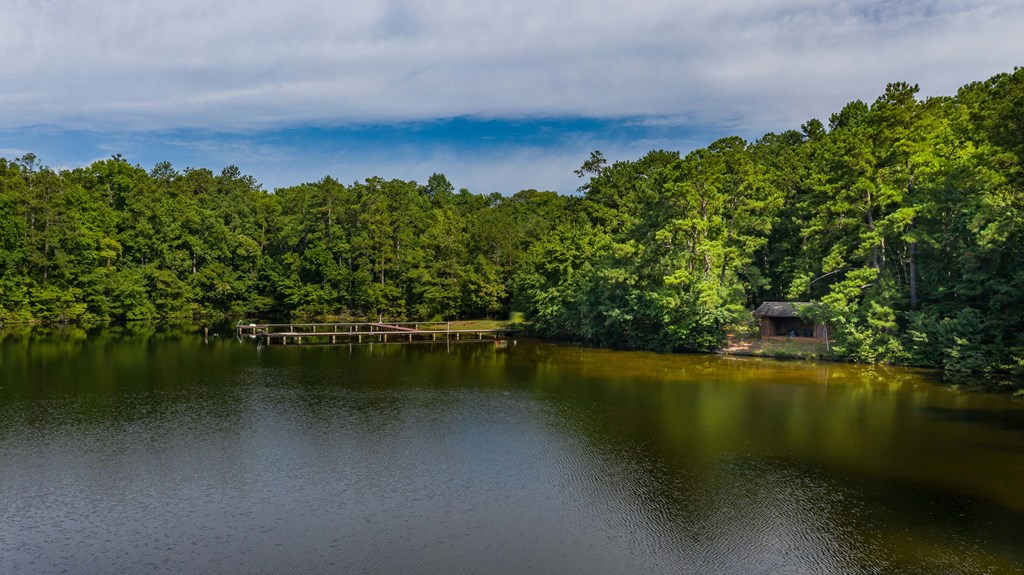 829 Trammell Mill Road Shiloh, GA 31826 - Photo 5 of 46 10 Acre Lake