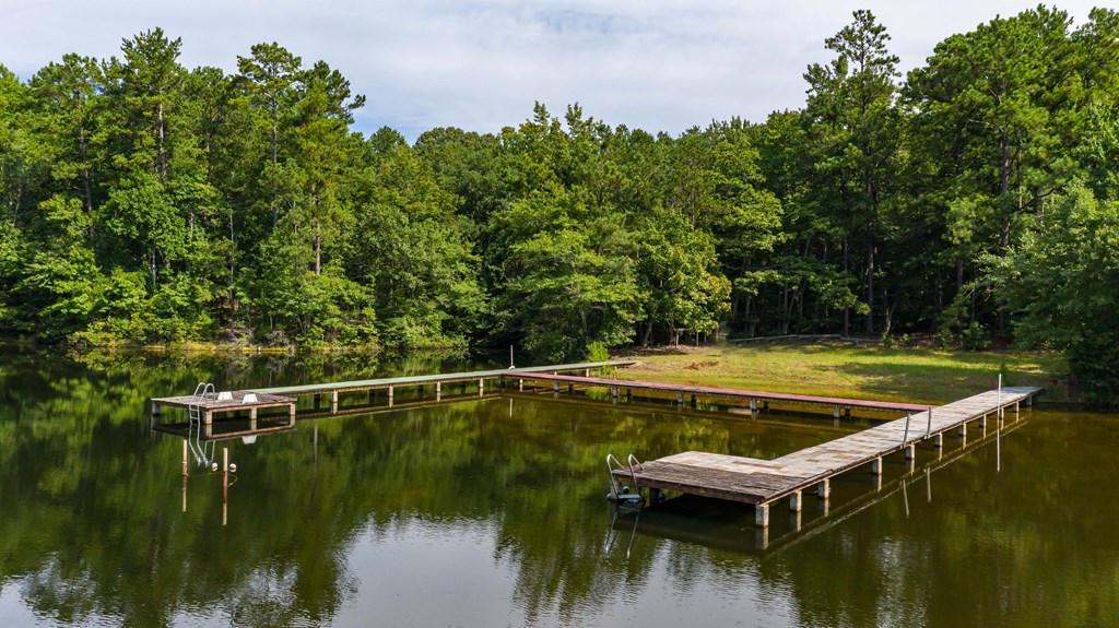 829 Trammell Mill Road Shiloh, GA 31826 - Photo 6 of 46 Swim Dock