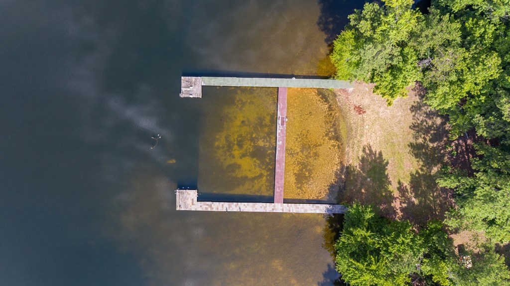 829 Trammell Mill Road Shiloh, GA 31826 - Photo 7 of 46 Crystal Clear Water