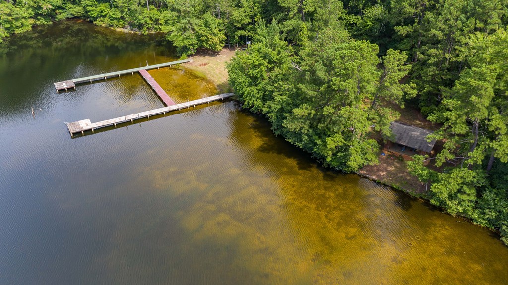 829 Trammell Mill Road Shiloh, GA 31826 - Photo 8 of 46 Lots of Fish