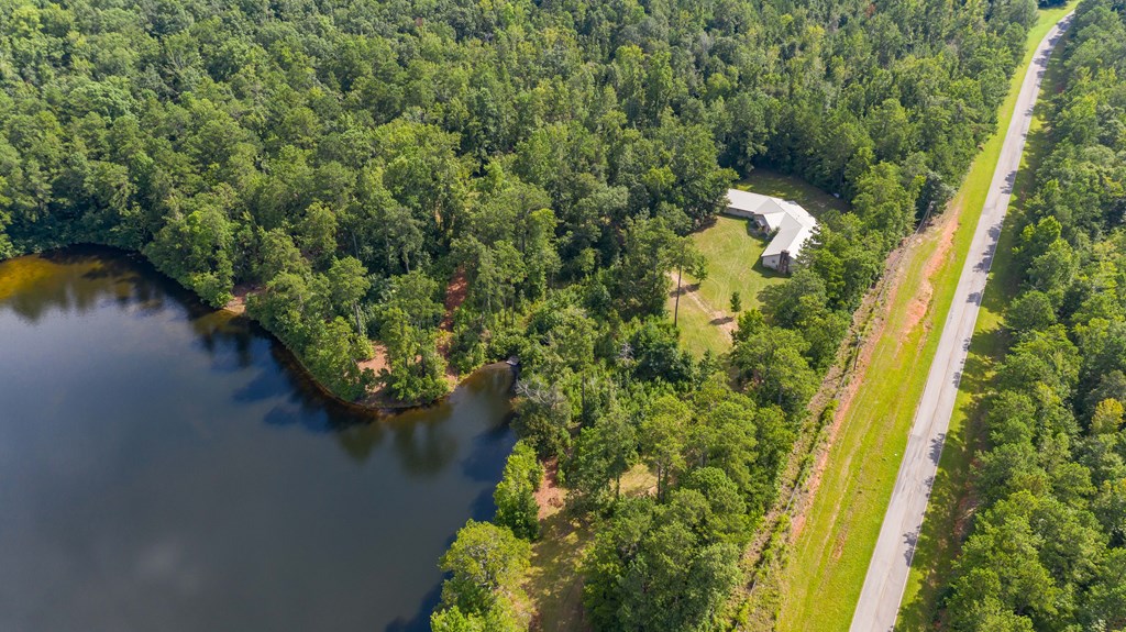 829 Trammell Mill Road Shiloh, GA 31826 - Photo 9 of 46 Aerial of the Lodge