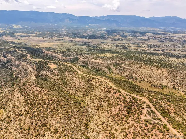 a view of a dry yard with trees