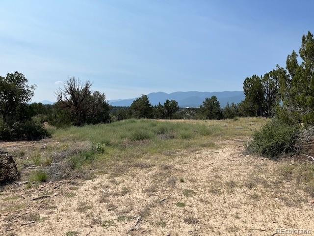 Tbd Lot 8 Newlin Ridge Road Florence, CO 81226 - Photo 18 of 25 a view of a field with trees in background