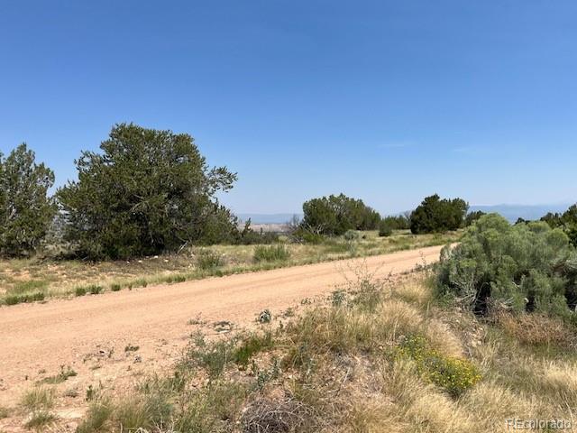 Tbd Lot 8 Newlin Ridge Road Florence, CO 81226 - Photo 19 of 25 a view of a yard with a tree