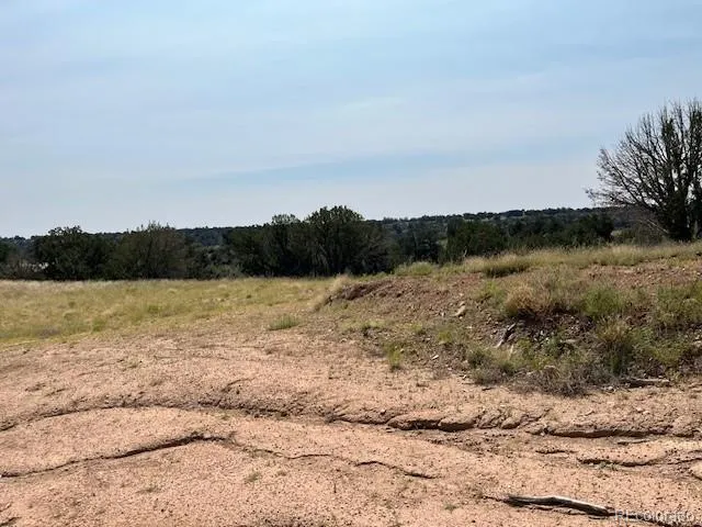 $145,000 | Tbd Lot 8 Newlin Ridge Road, Florence, CO 81226