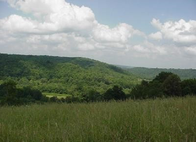 31 River Road Butler, KY 41006 - Photo 1 of 8 Gallery Image 1