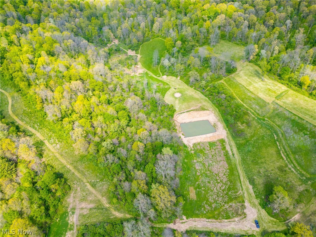 69800 Skull Fork Road Freeport, OH 43973 - Photo 13 of 50