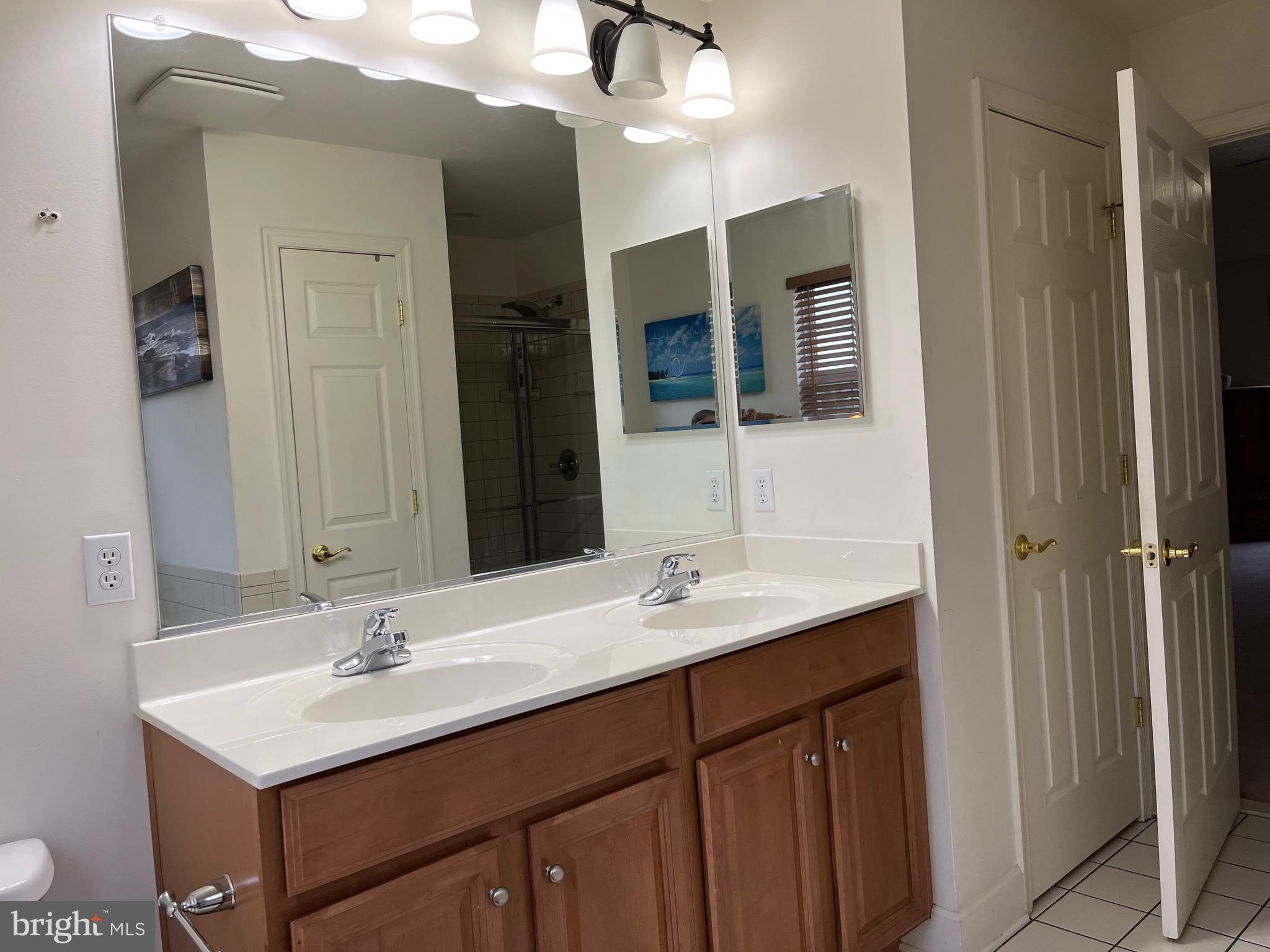 45 Vista Loop Hanover, PA 17331 - Photo 20 of 29 Master Bath