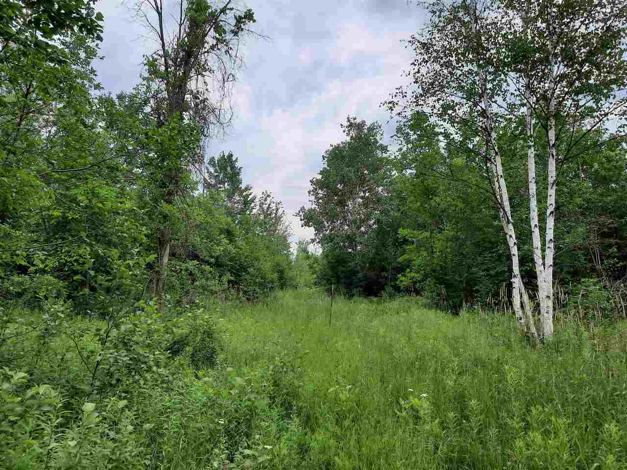 1650 Secord Dam Road Gladwin, MI 48624 - Photo 9 of 38