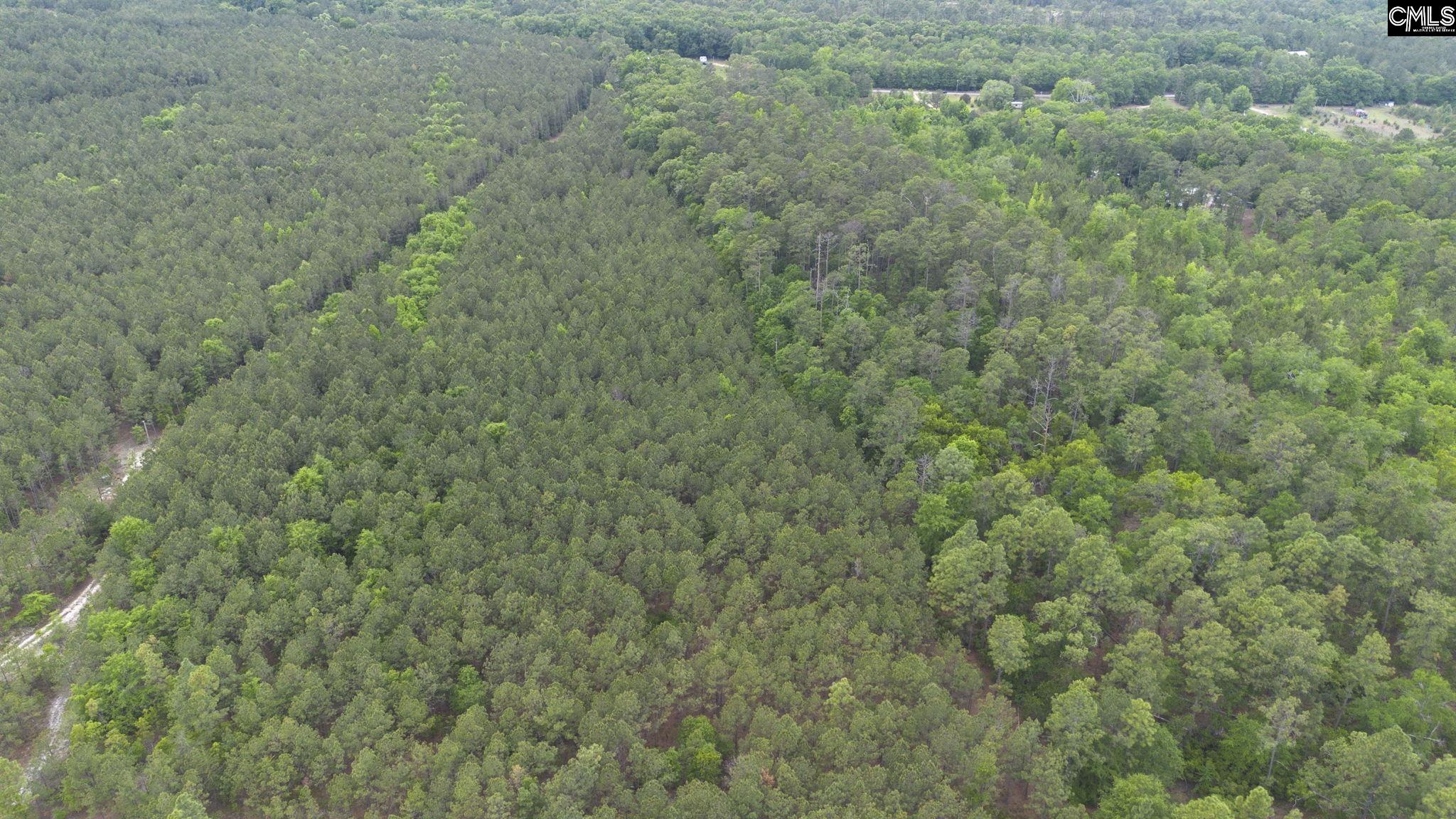 1291 Congress Road Eastover, SC 29044 - Photo 19 of 20