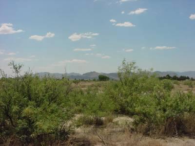 0 Taylor Road Willcox, AZ 85643 - Photo 1 of 2 Gallery Image 1