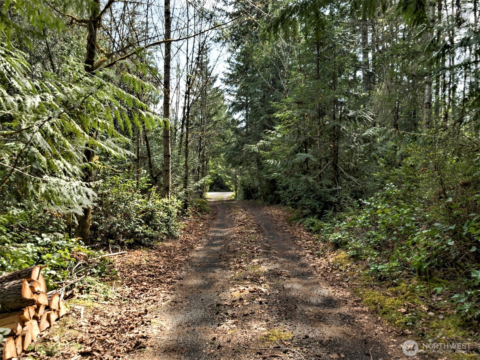 6041 East Agate Road Shelton, WA 98584 - Photo 5 of 40