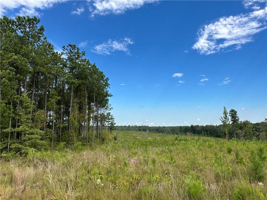 Lot 7 Ridge Road Seale, AL 36875 - Photo 2 of 10 View of nature