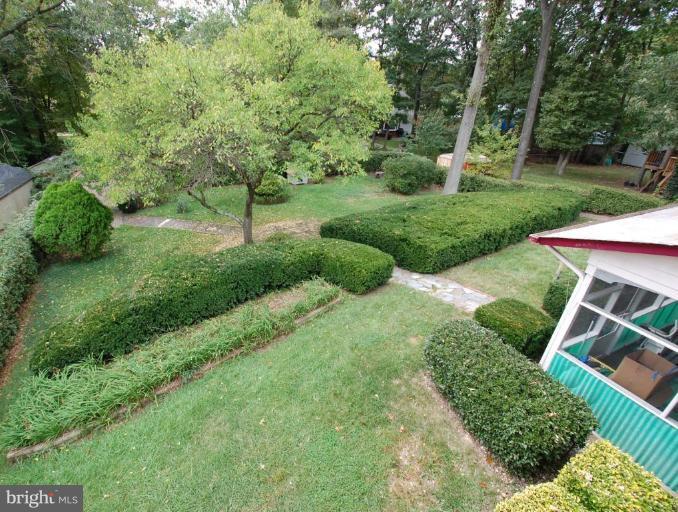 6824 Rolling Road Springfield, VA 22152 - Photo 14 of 17 Back yard