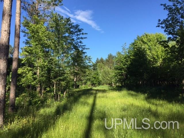 Tbd Ruonavaara Road Lake Linden, MI 49945 - Photo 3 of 32 Gallery Image 3