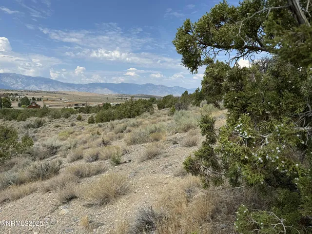 a view of a bunch of trees in a field
